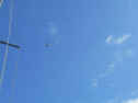 ADSCN5825.jpg