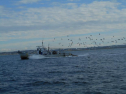 ADSCN5827.jpg
