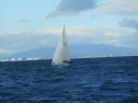 ADSCN5891.jpg
