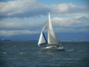 ADSCN5909.jpg