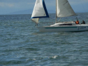 ADSCN5912.jpg