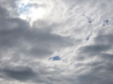 AIMG_4204.jpg