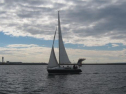 AIMG_4206.jpg