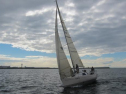 AIMG_4207.jpg
