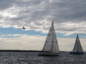 AIMG_4210.jpg