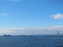 AIMG_4213.jpg
