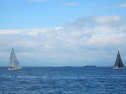 AIMG_4214.jpg