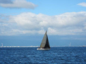 AIMG_4215.jpg