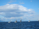 AIMG_4217.jpg