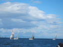 AIMG_4218.jpg