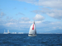 AIMG_4220.jpg
