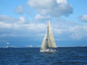 AIMG_4224.jpg