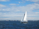 AIMG_4228.jpg