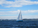 AIMG_4229.jpg