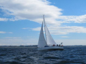 AIMG_4230.jpg