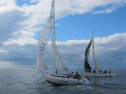 AIMG_4239.jpg