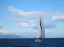 AIMG_4247.jpg