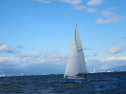 AIMG_4249.jpg