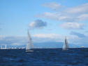 AIMG_4252.jpg