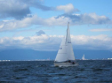 AIMG_4254.jpg