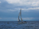 AIMG_4255.jpg
