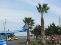 AIMG_4387.jpg