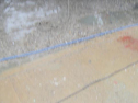 IMG_3381001.jpg