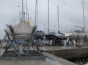 IMG_3382001.jpg