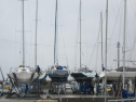 IMG_3383001.jpg
