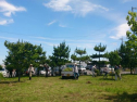 DSC_1558001.jpg
