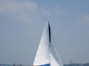 IMG_3713001.jpg