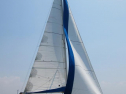 IMG_3715001.jpg