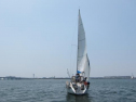 IMG_3716001.jpg