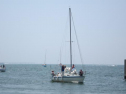 IMG_3717001.jpg