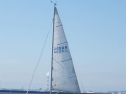 RIMG0447ac.jpg