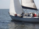 RIMG0494ac.jpg