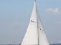 RIMG0504ac.jpg