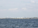 RIMG0509ac.jpg