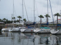 AIMG_5534.jpg