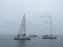 AIMG_5544.jpg