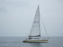 AIMG_5547.jpg