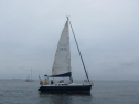 AIMG_5549.jpg