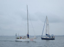 AIMG_5551.jpg