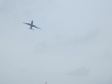 AIMG_5560.jpg