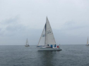 AIMG_5561.jpg