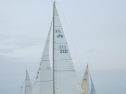 AIMG_5568.jpg