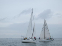 AIMG_5572.jpg