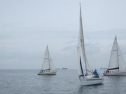 AIMG_5574.jpg