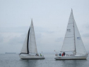 AIMG_5576.jpg