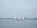 AIMG_5586.jpg